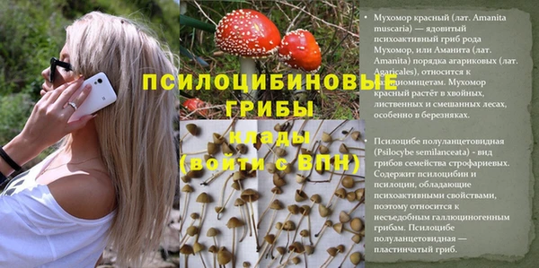 ГАЛЛЮЦИНОГЕННЫЕ ГРИБЫ Алапаевск
