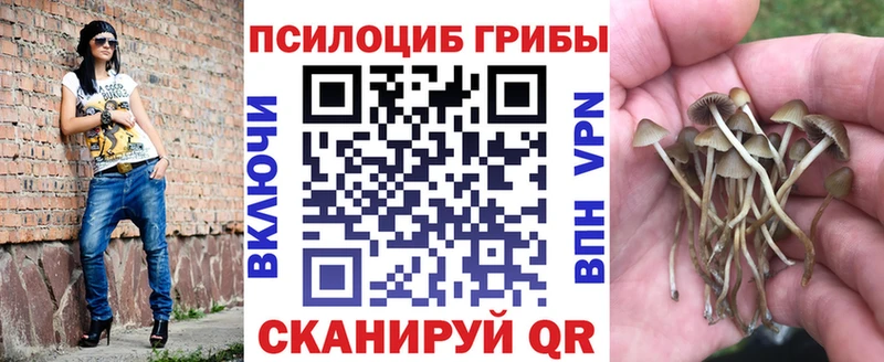 кракен ONION  Электроугли  Галлюциногенные грибы GOLDEN TEACHER 